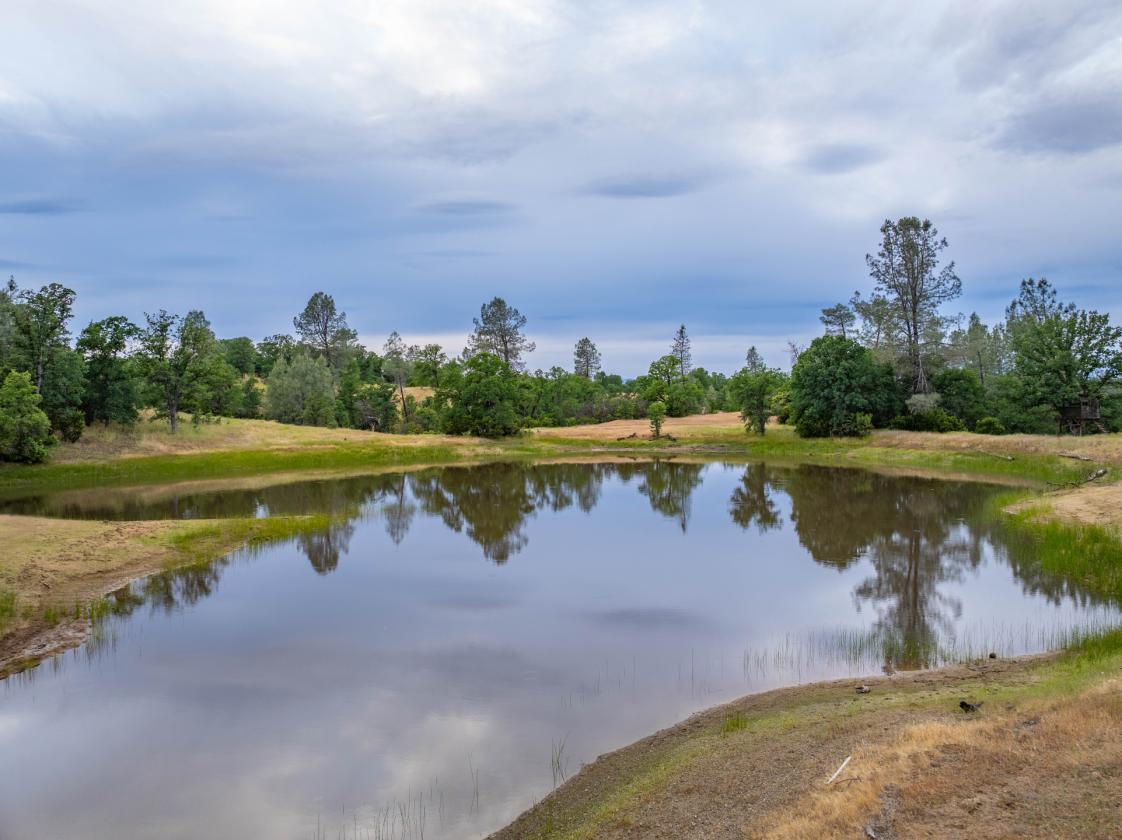 480 Acre Litte Crane Creek Ranch - photo 12