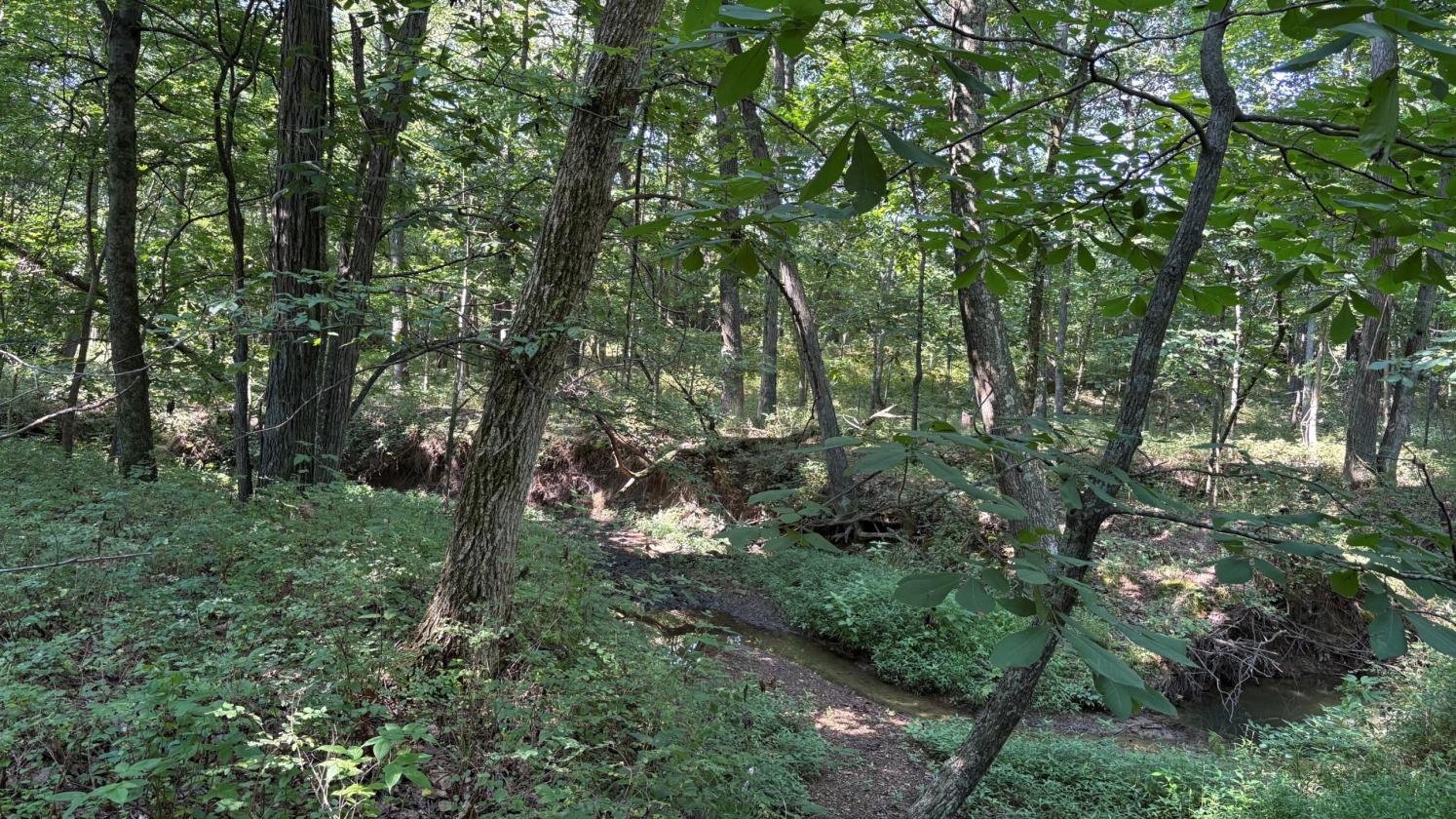 Southern Illinois Horse Farm with home - photo 26