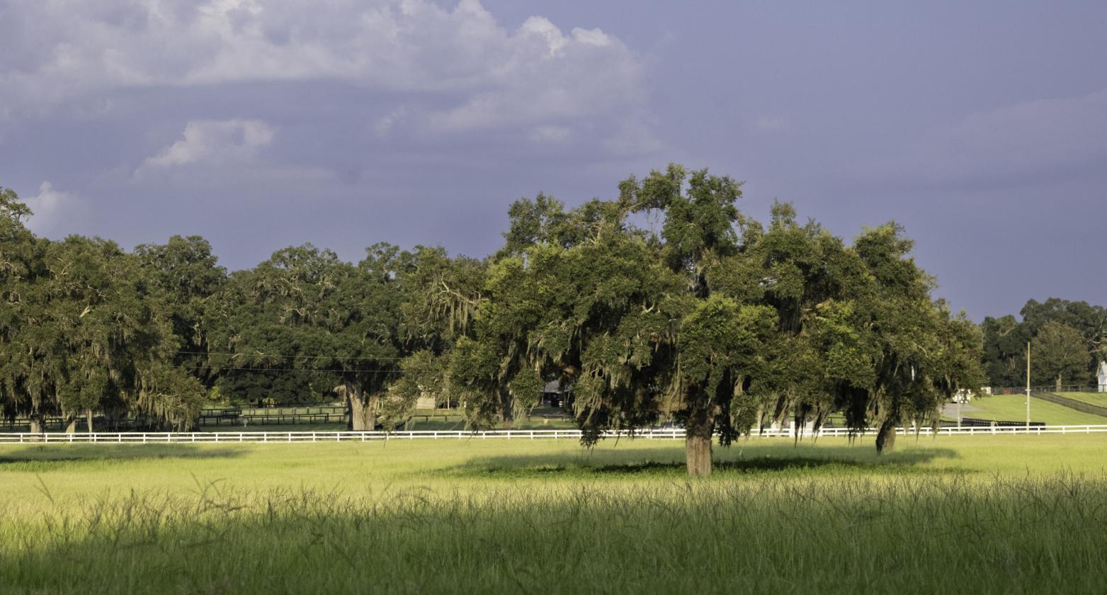 Kingwood Foxden - 4 miles to World Equestrian Center - photo 14