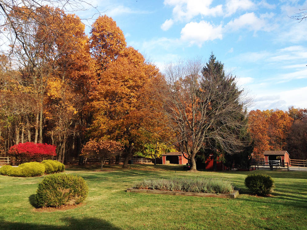 Countryside Horse Property in Chester Township Chester, Morris County