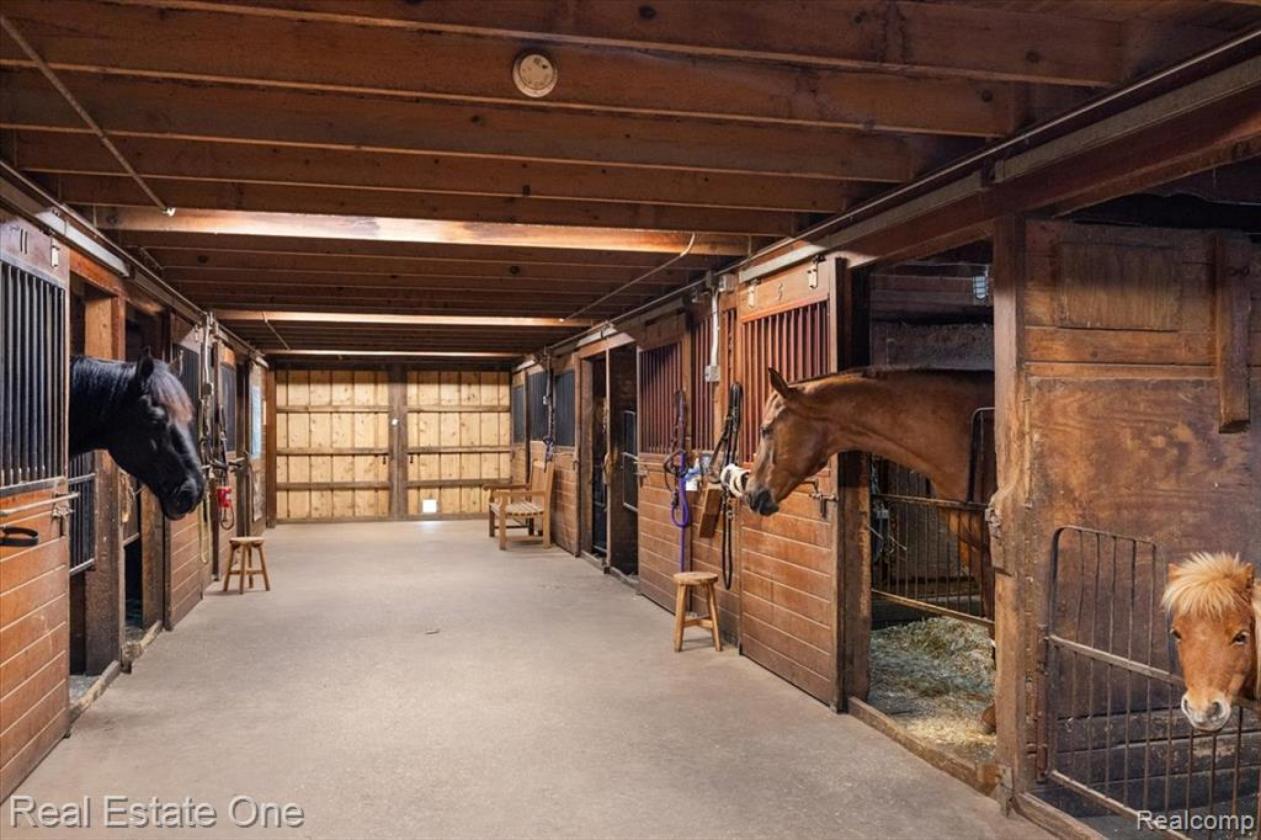ABO- Rare Equestrian Property Opportunity - photo 24