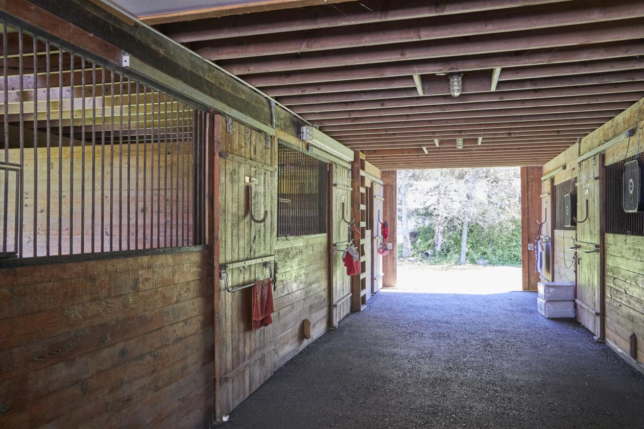 WhistleWood Farm - photo 15