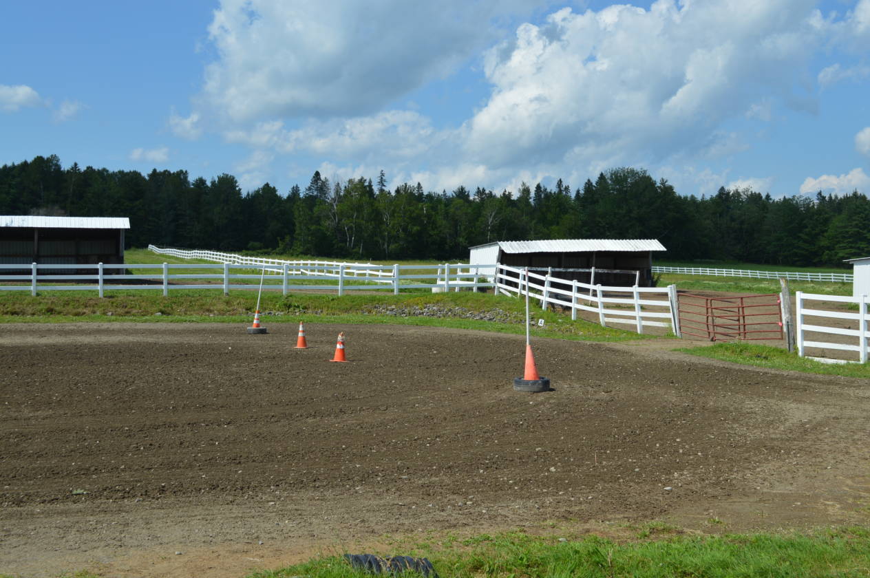 Luxury Equestrian Estate with 69 Acres! Newburgh, Penobscot County, Maine Horse Properties