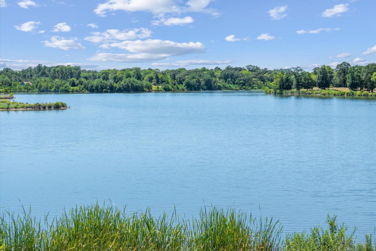 RARE OPPORTUNITY ON 74± ACRES - photo 9