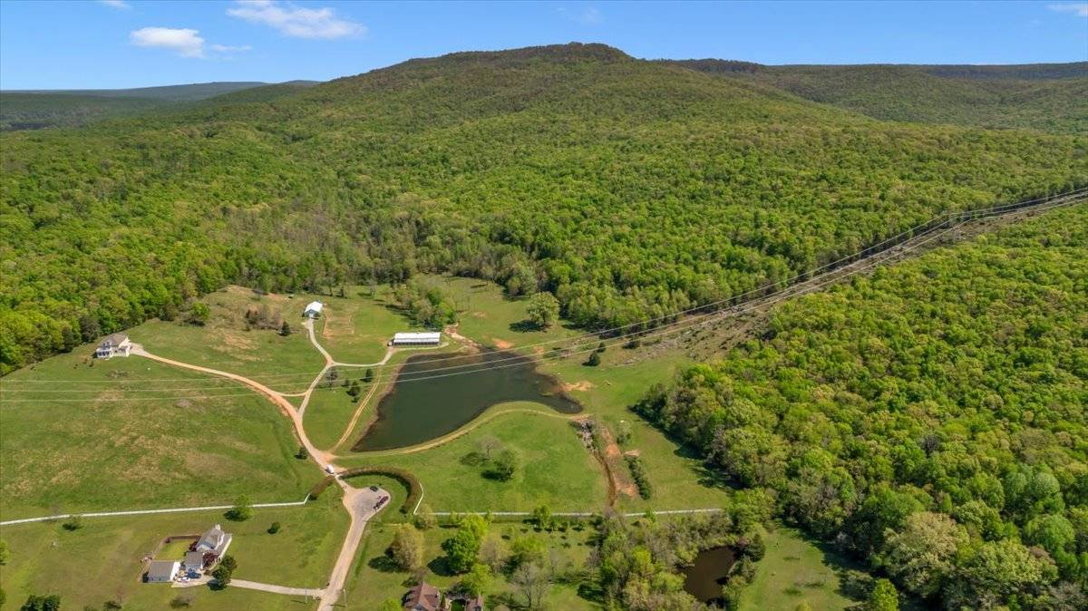 Horse Property for sale.
