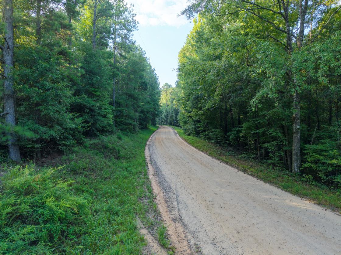 Bear Creek Retreat - photo 23