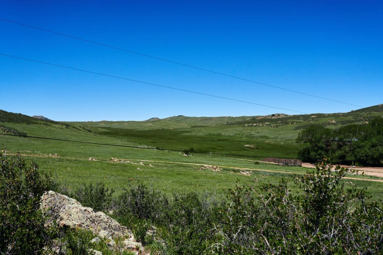 PRINCE (SODERGREEN) RANCH - photo 5