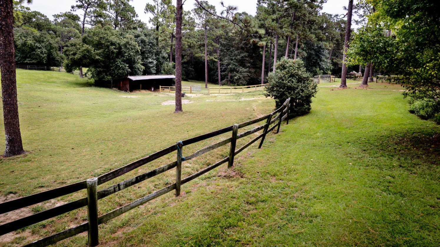 47+ Acres in the Heart of Horse Country - photo 9