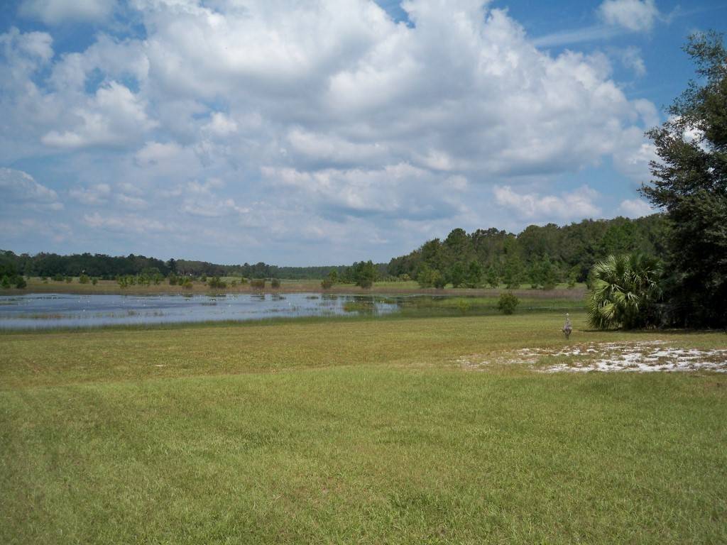 House with acreage Ocklawaha, Marion County, Florida
