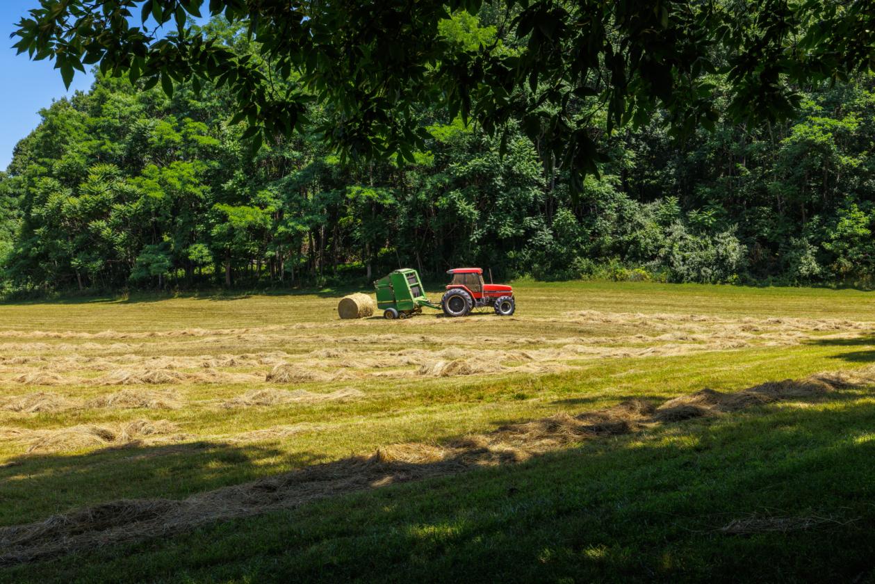 Morley Ridge Park - photo 29