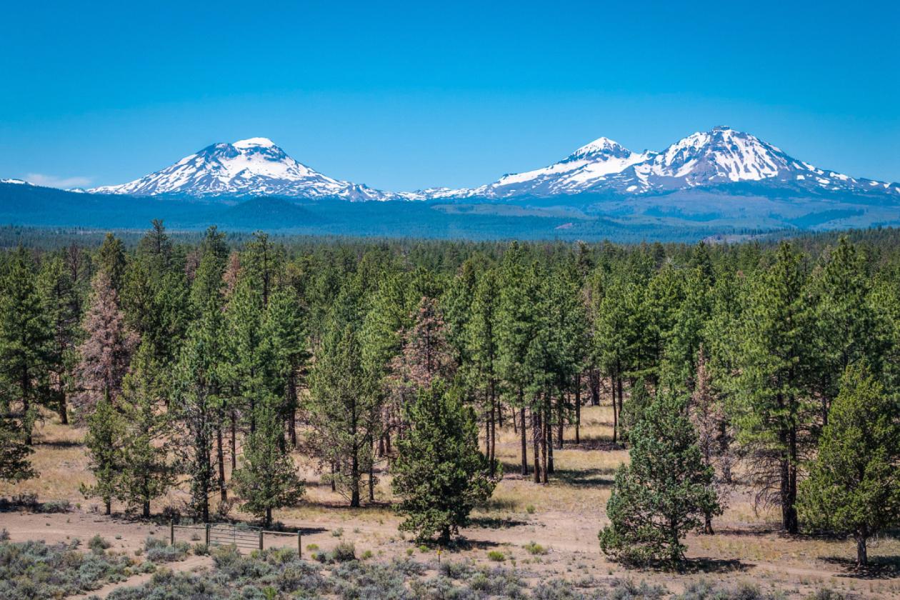 Amazing Trail Access in Central Oregon! - photo 23