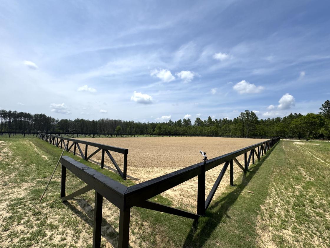 Thoughtfully Designed Luxury Equestrian Estate - photo 8