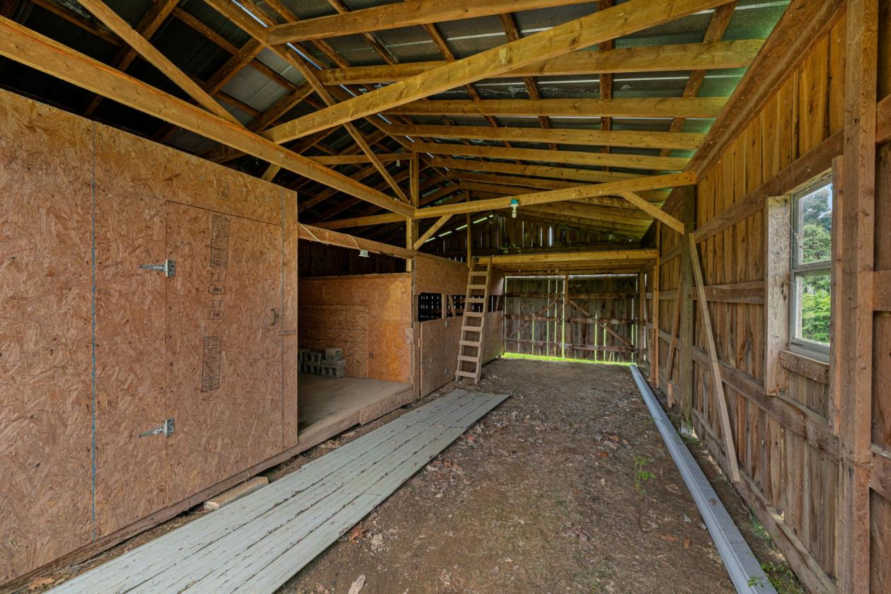 Home on 5 acres - photo 18