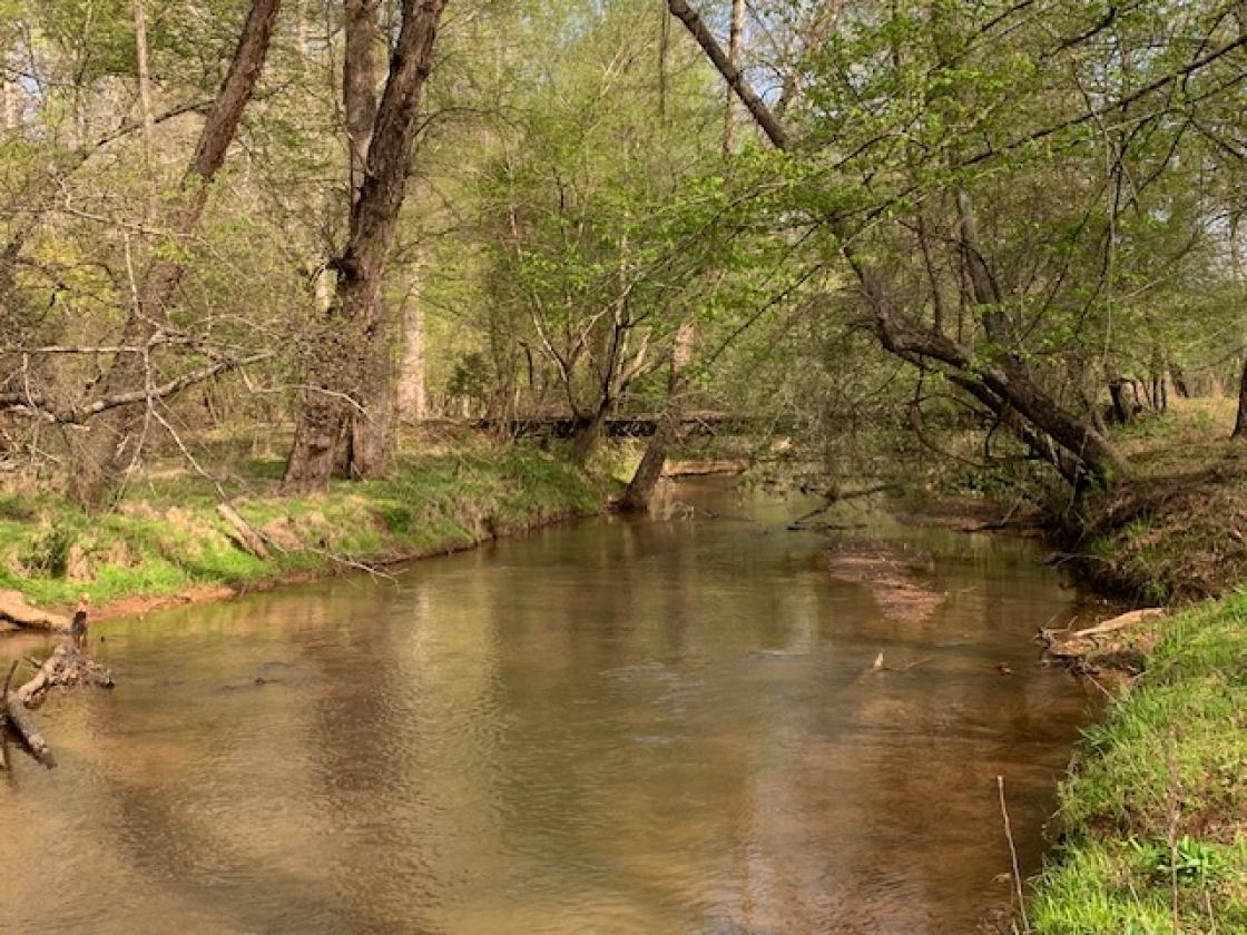 Madison County - Large Estate Farm - photo 4
