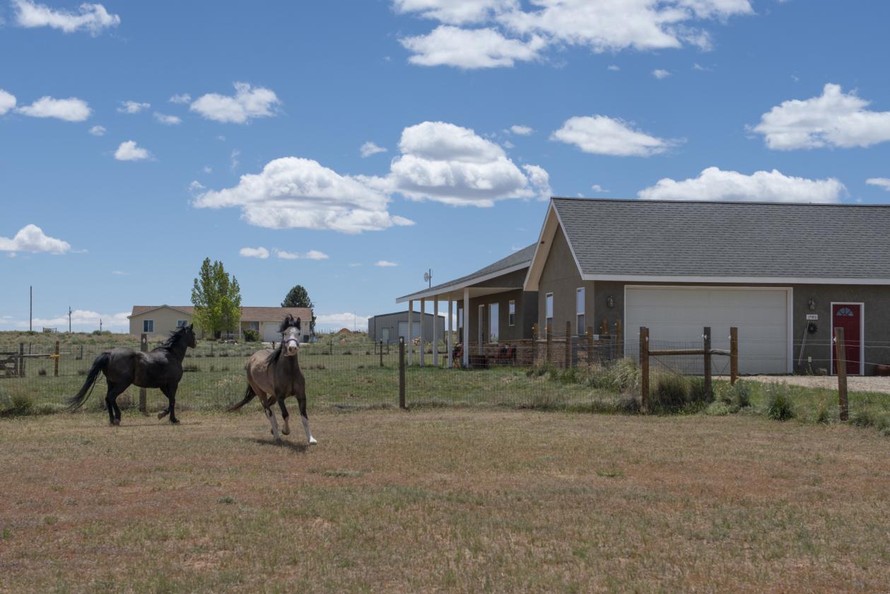 Exquisite Horse Property with Mountain Views - photo 14