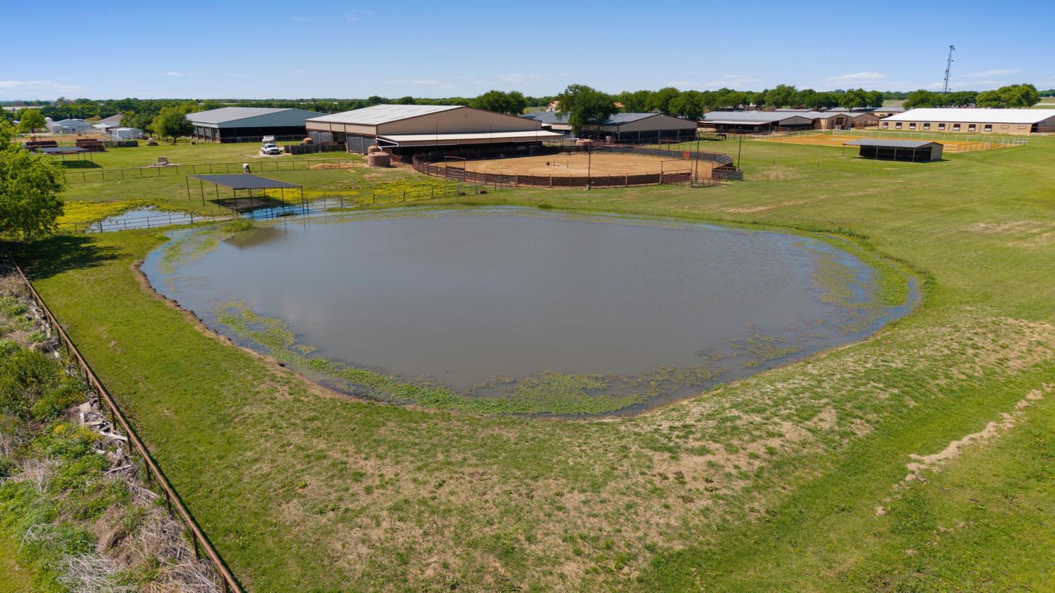 TM Horse Ranch - photo 19