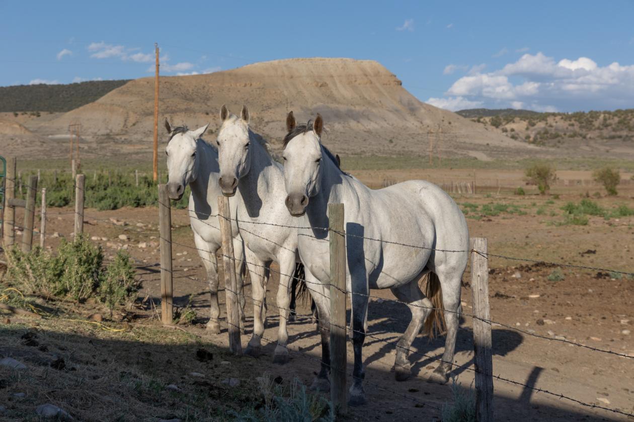 Box B Ranch - photo 21