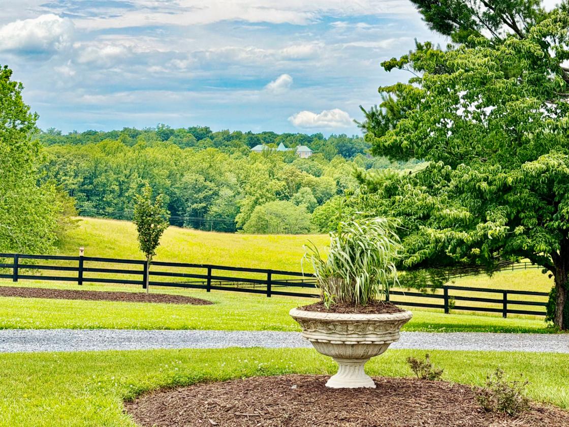 Mountain Shadow Farm - photo 14