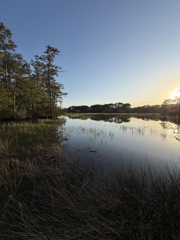 Premier 22± Acre Waterfront Equestrian Estate - photo 15