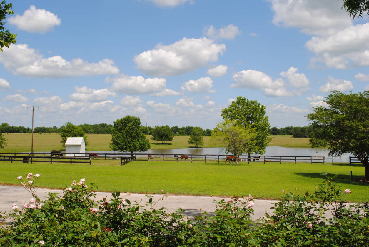 Horse farm with iconic 1850s fully restored farmhouse Brenham