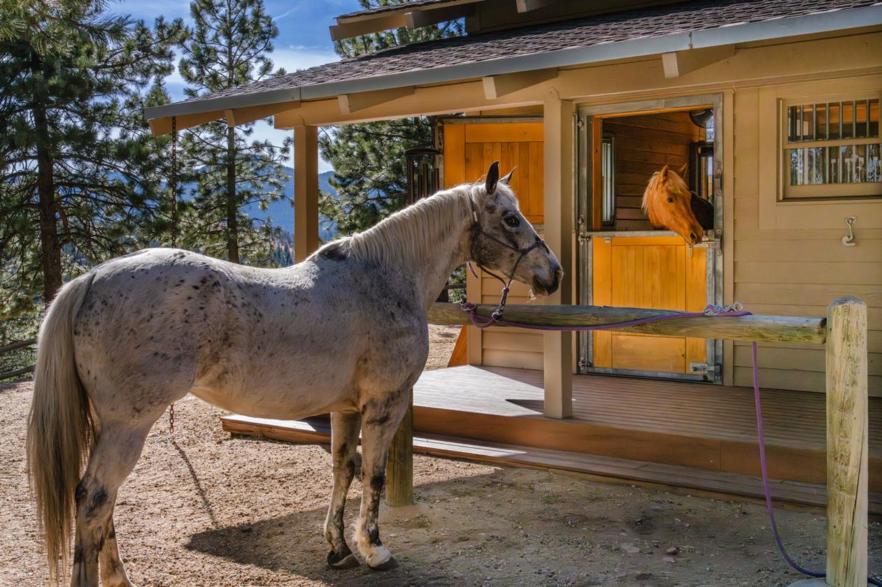 36-Acre Private Equestrian Estate - photo 6