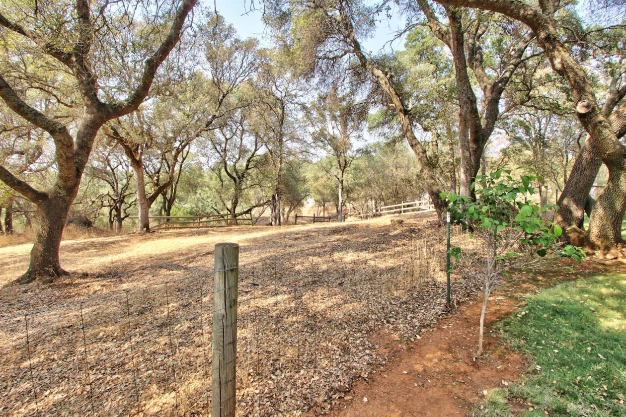 Beautiful Horse property with updated home and close to trails and town