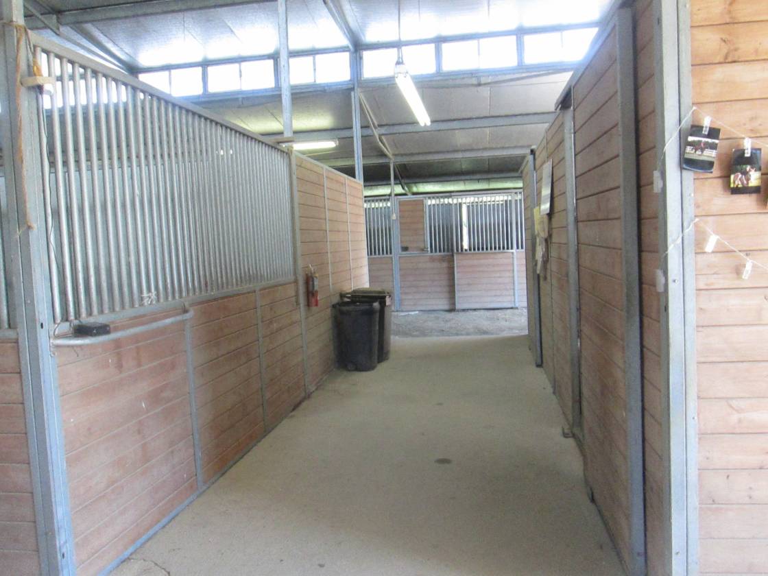 Horse Farm with potential development - photo 26