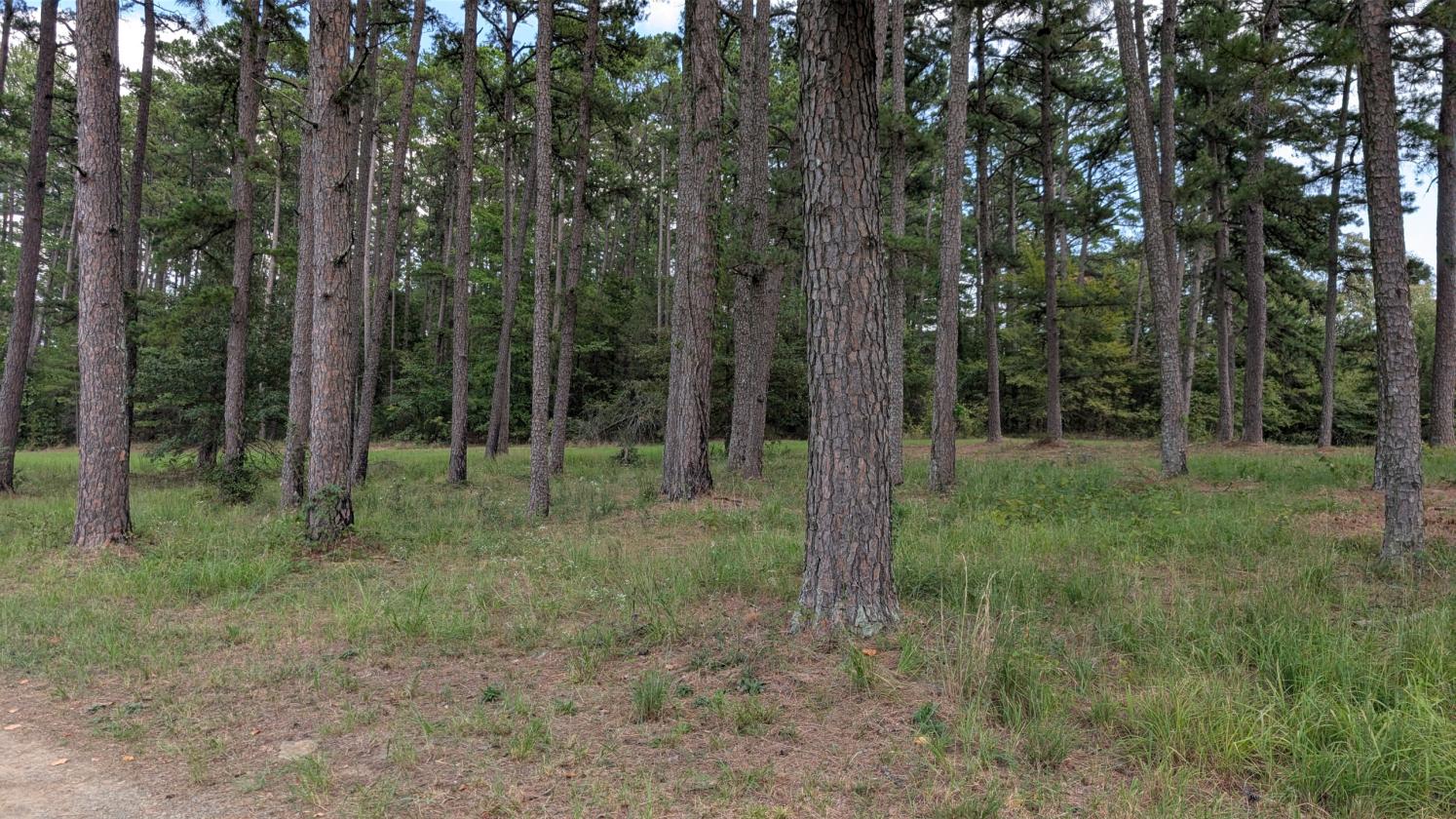 Homesteader's Paradise - photo 29