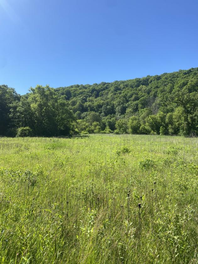 Deep River Farm - photo 19