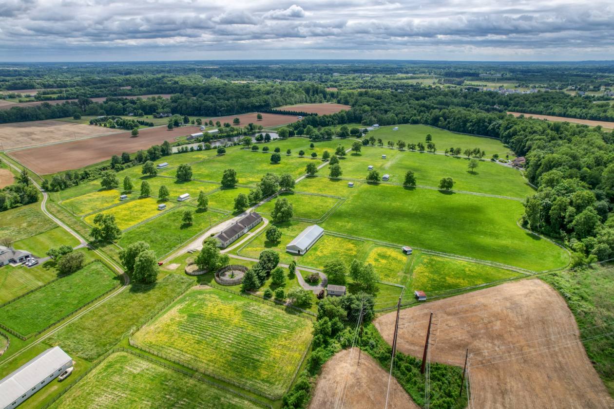 CandyLand Farm: Where Dreams Gallop Free! - photo 3