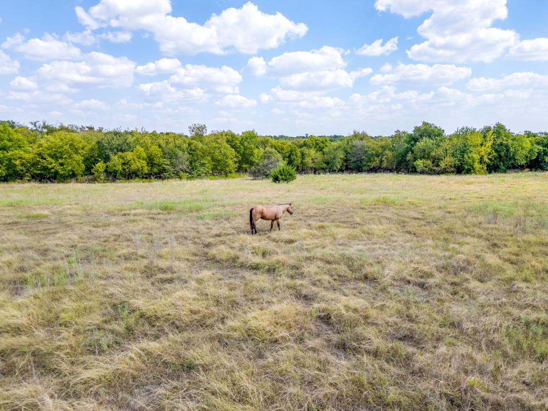 67-Acre Working Ranch & Luxury Log Home - photo 8