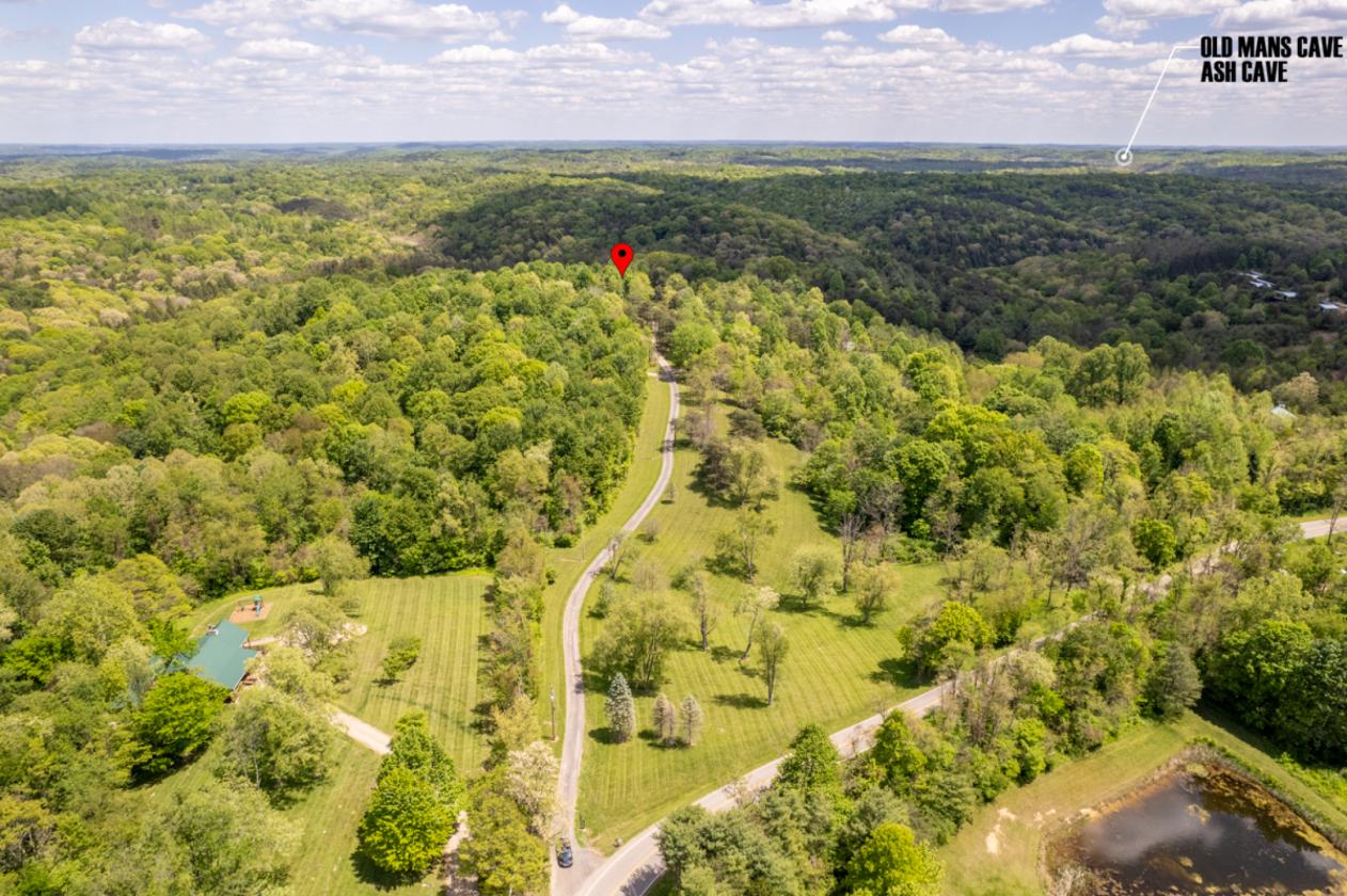 Future Equestrian Estate with Log Home - photo 6