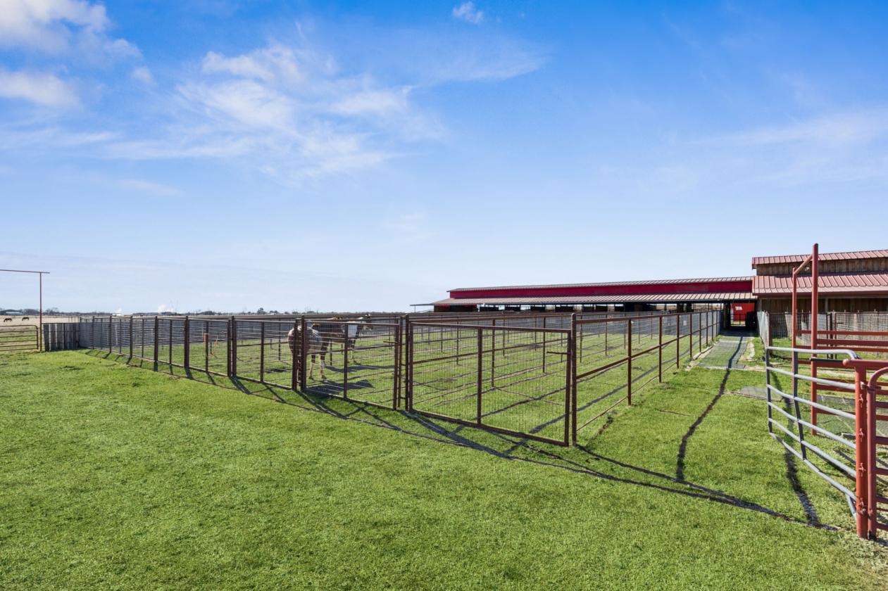 Premier Equestrian Facilities - photo 9