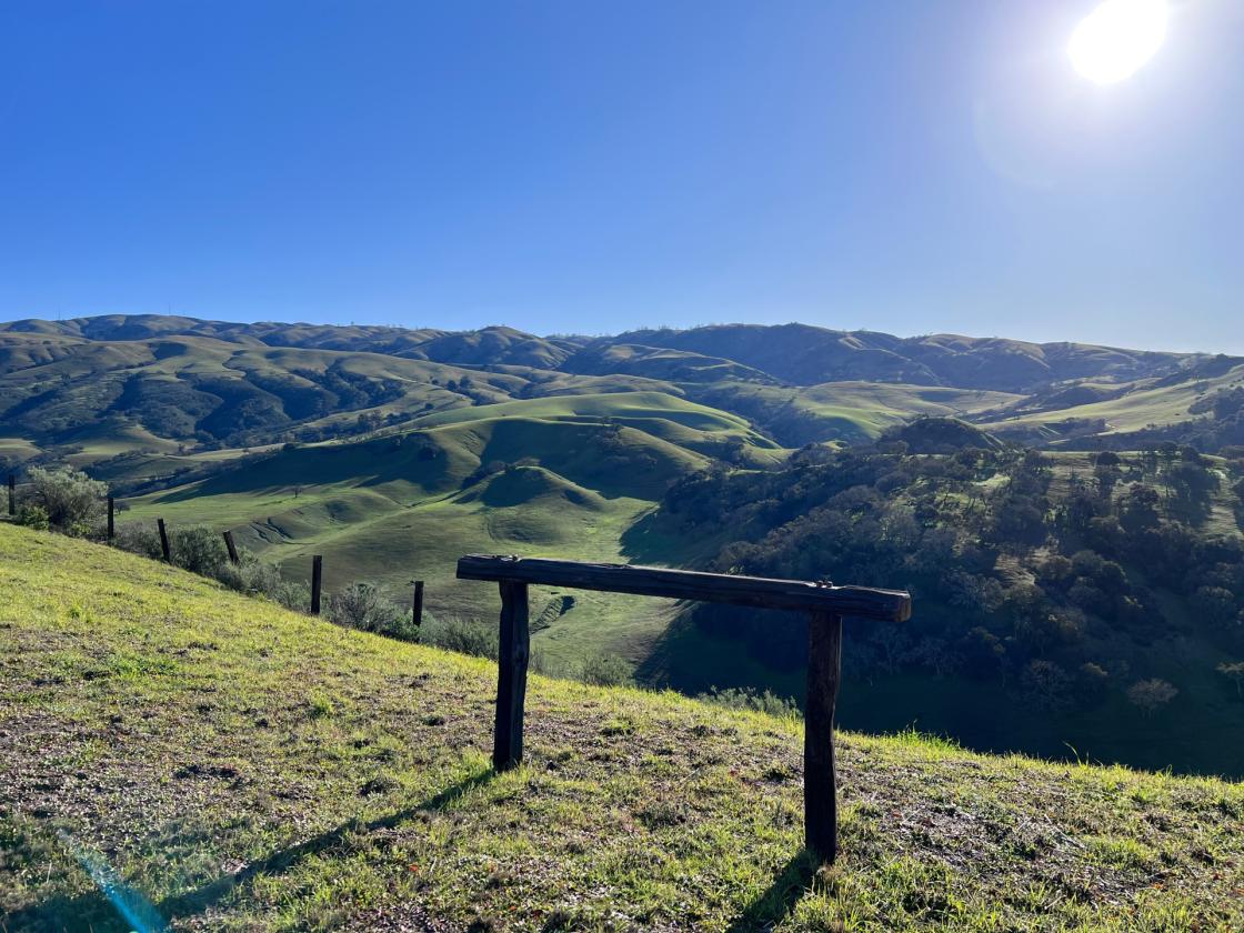 Private Monterey Peninsula Retreat - photo 7