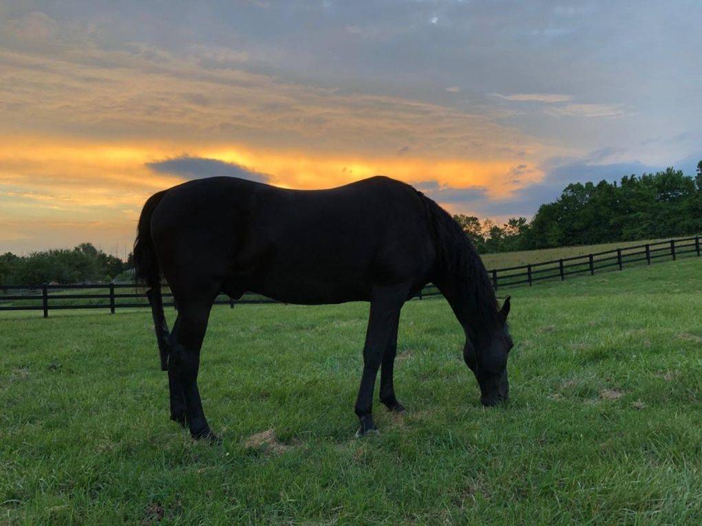 5 Acre Hobby Horse Farm In Fairfield Township Hamilton Butler County Ohio Horseproperties Net