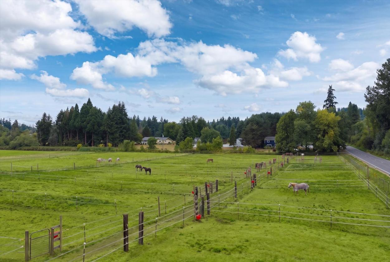 35 Stall Barn with Arena on 20 Acres - photo 5