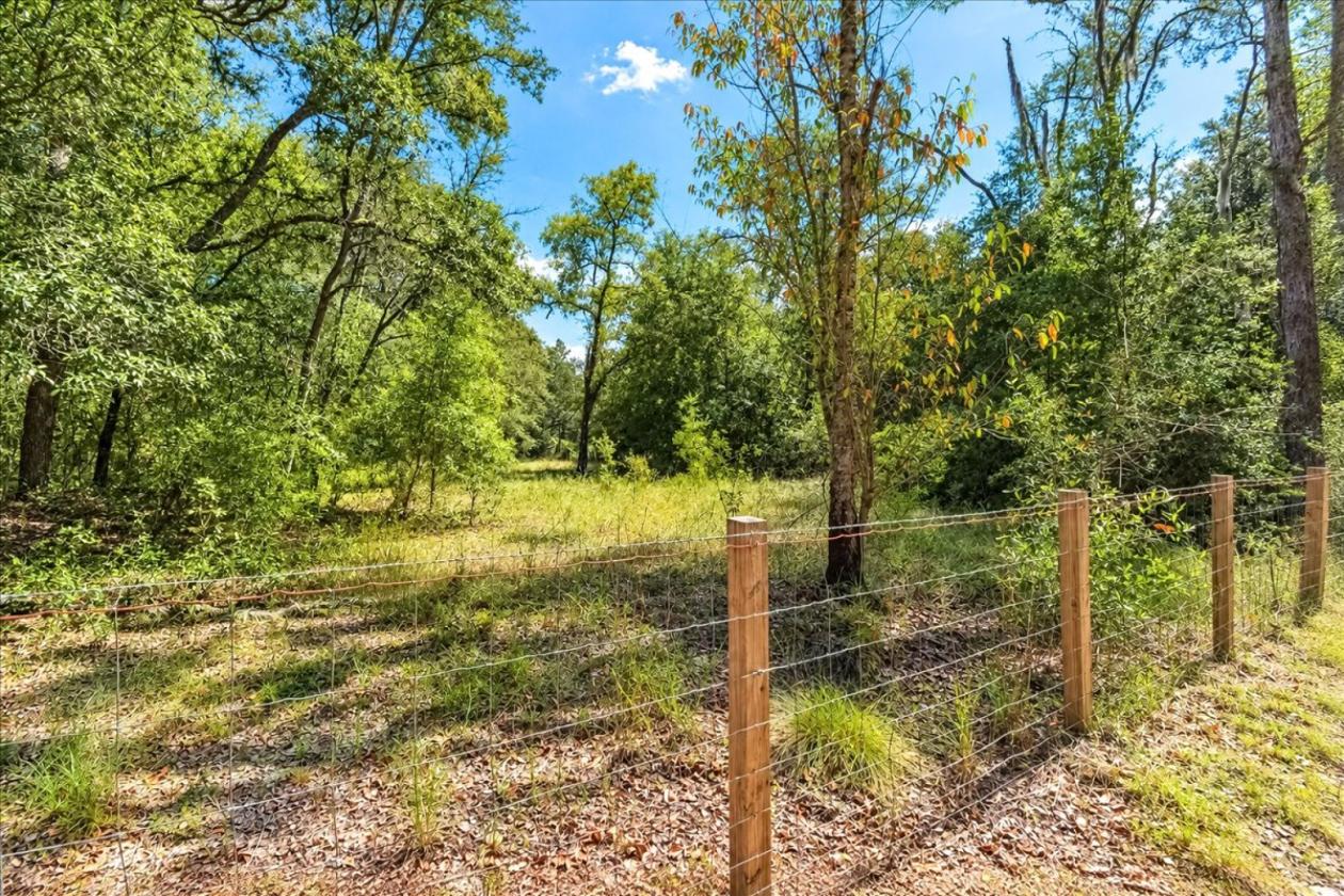 32 ACRES IN LEVY COUNTY NEAR WILLISTON - photo 1