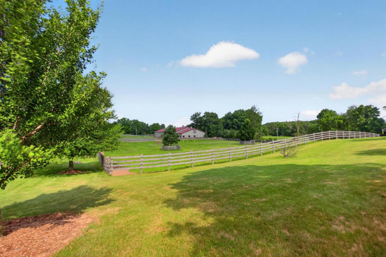 Equestrian Dream - photo 16