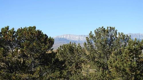 Property image.