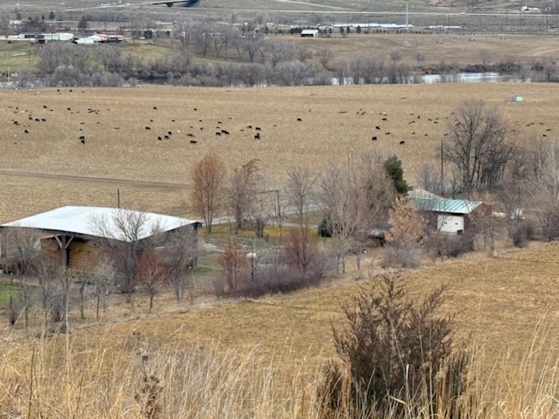 Medicine Wheel Ranch - photo 1