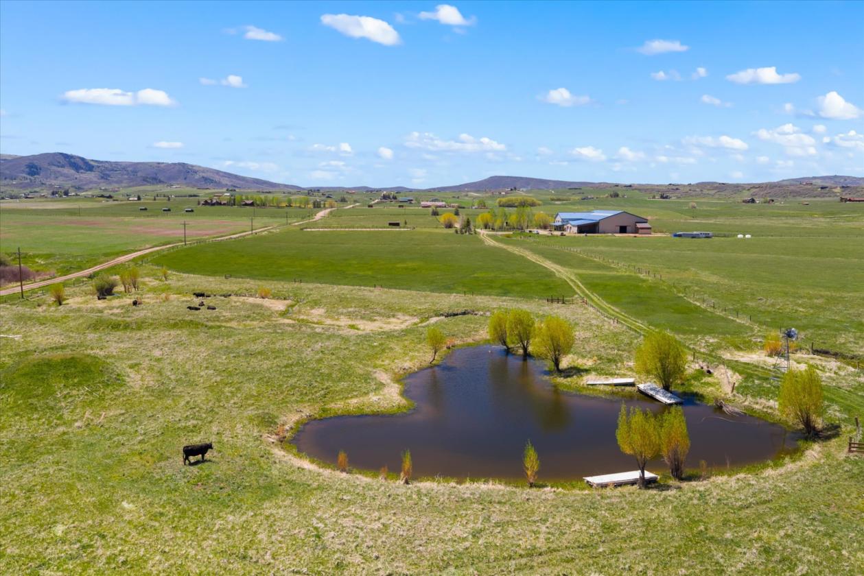 Zen Ranch with Indoor Riding Arena - photo 4