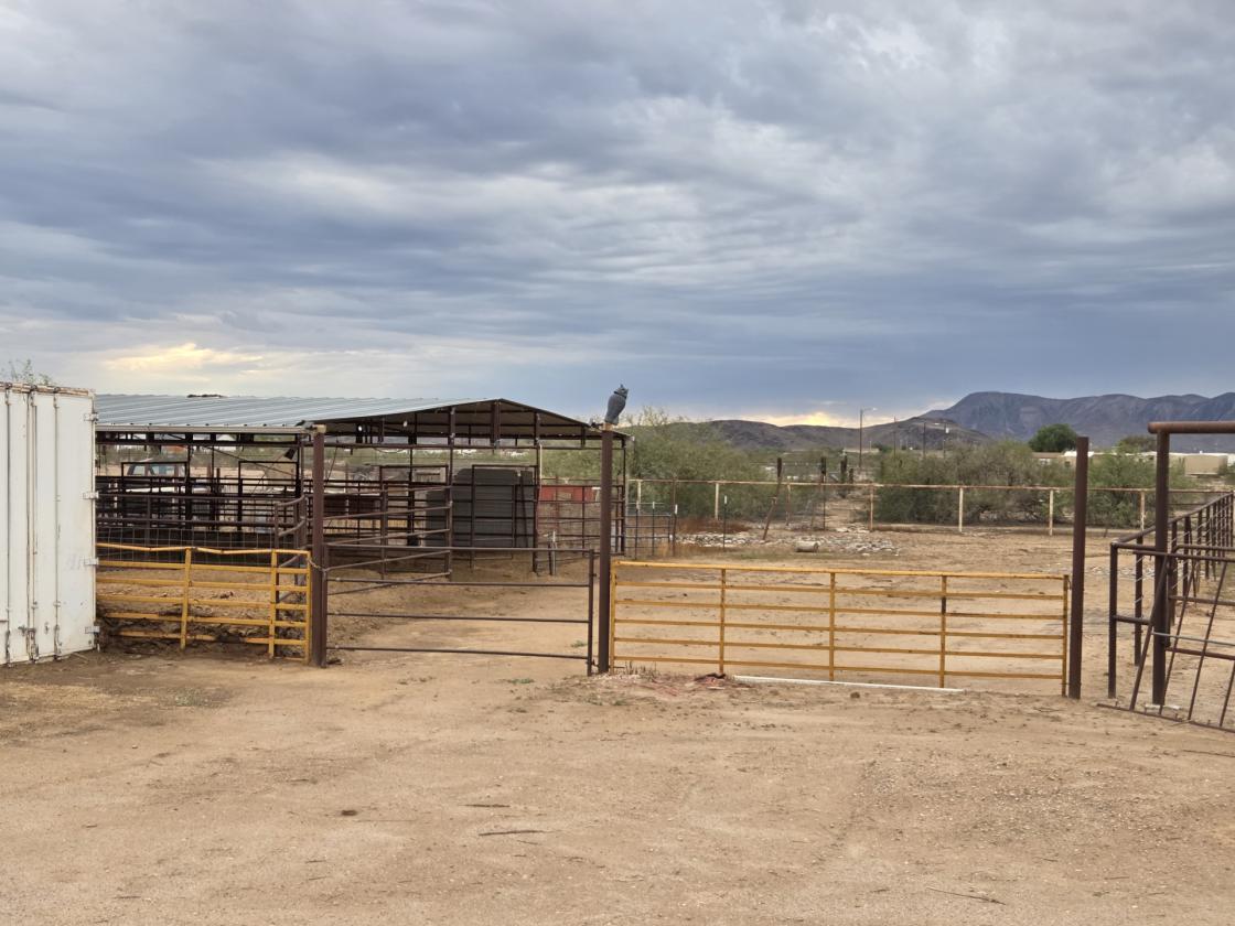 2.2 Ac Horse Prop with Shop & 6 covered stalls - photo 2