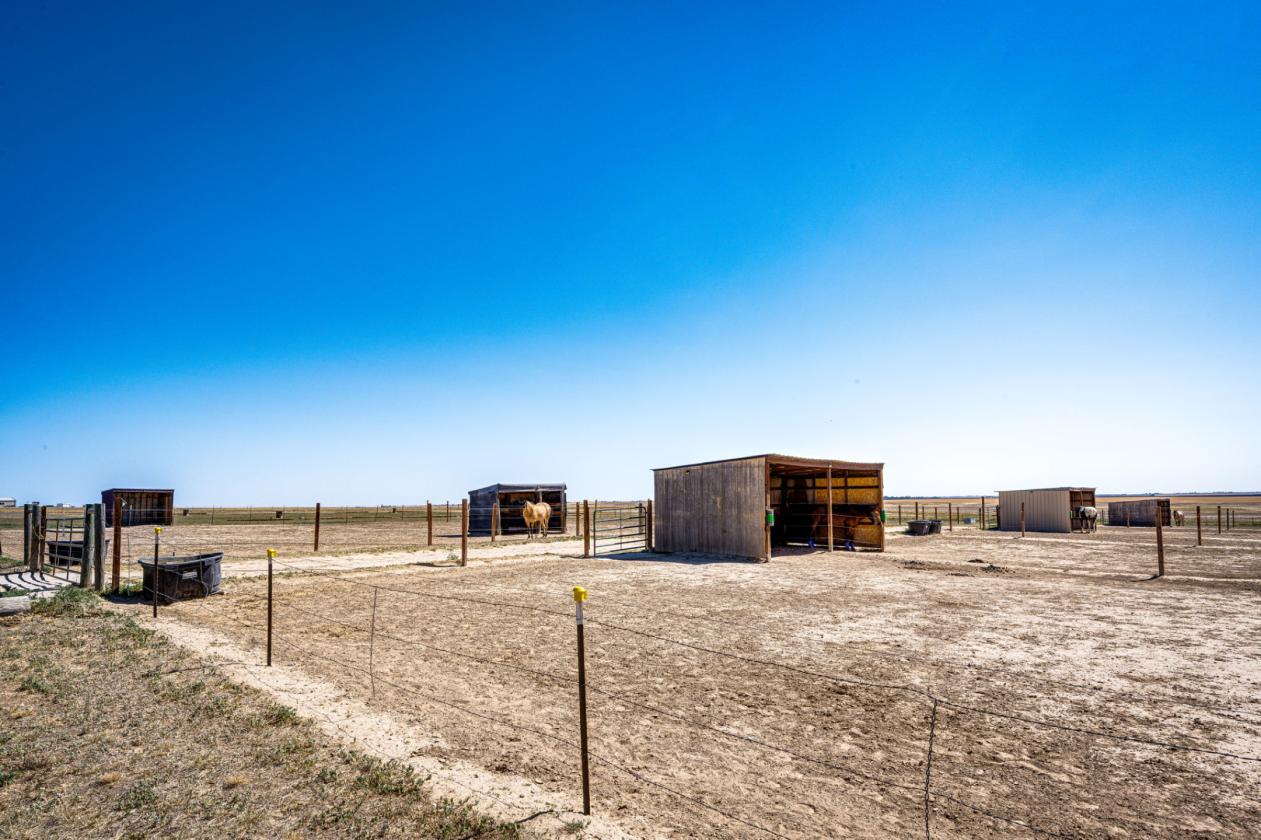 Horse Property & Multi-Generational living! - photo 5