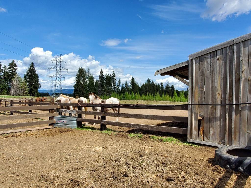 Paradise Valley Horse Property Bonners Ferry, Boundary County, Idaho
