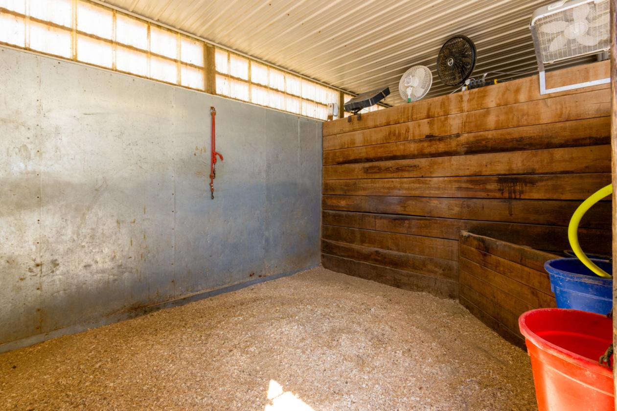 Exceptional 6.9-Acre Equestrian Property - photo 12