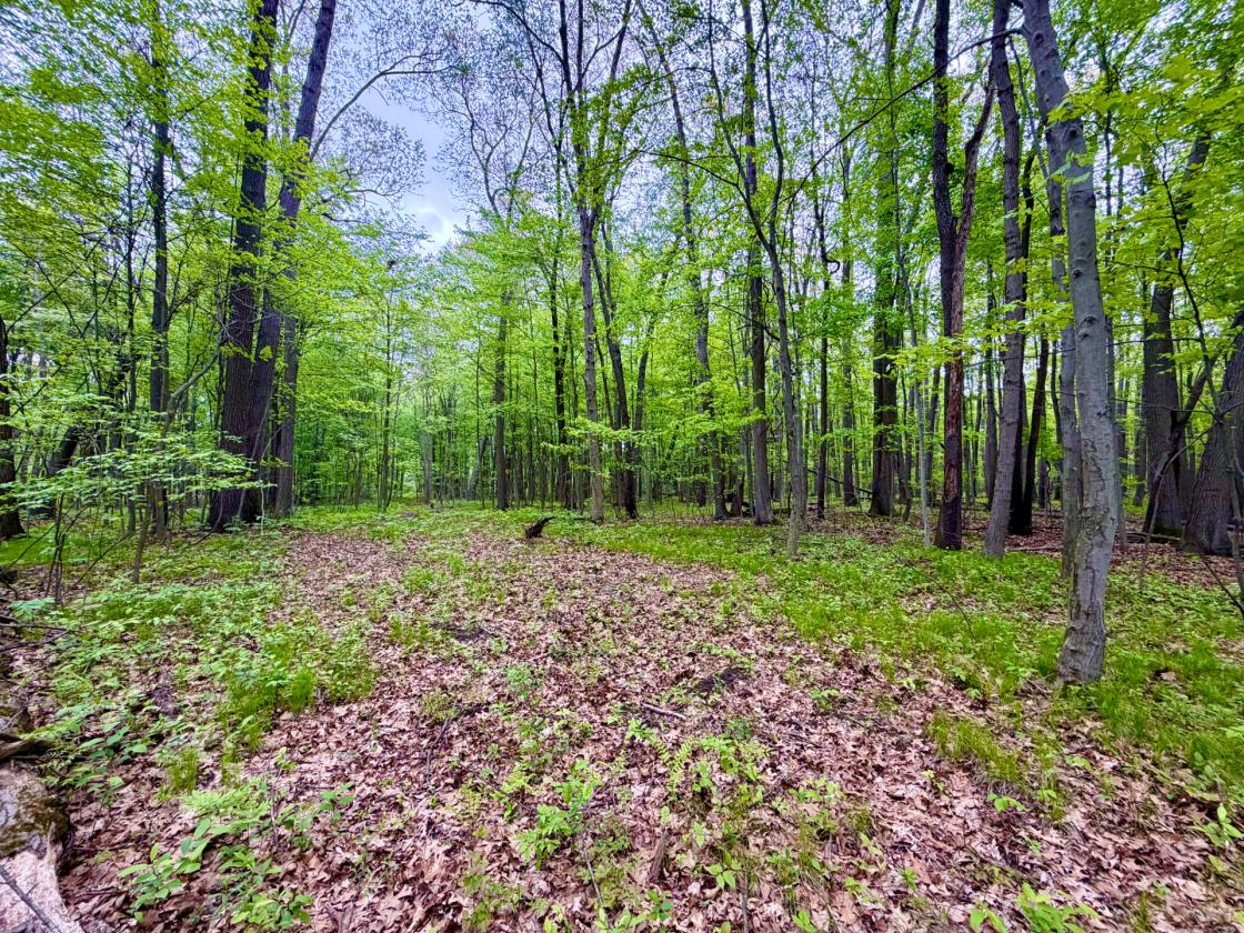 60Acres Equestrian Land with Scenic Trails - photo 26
