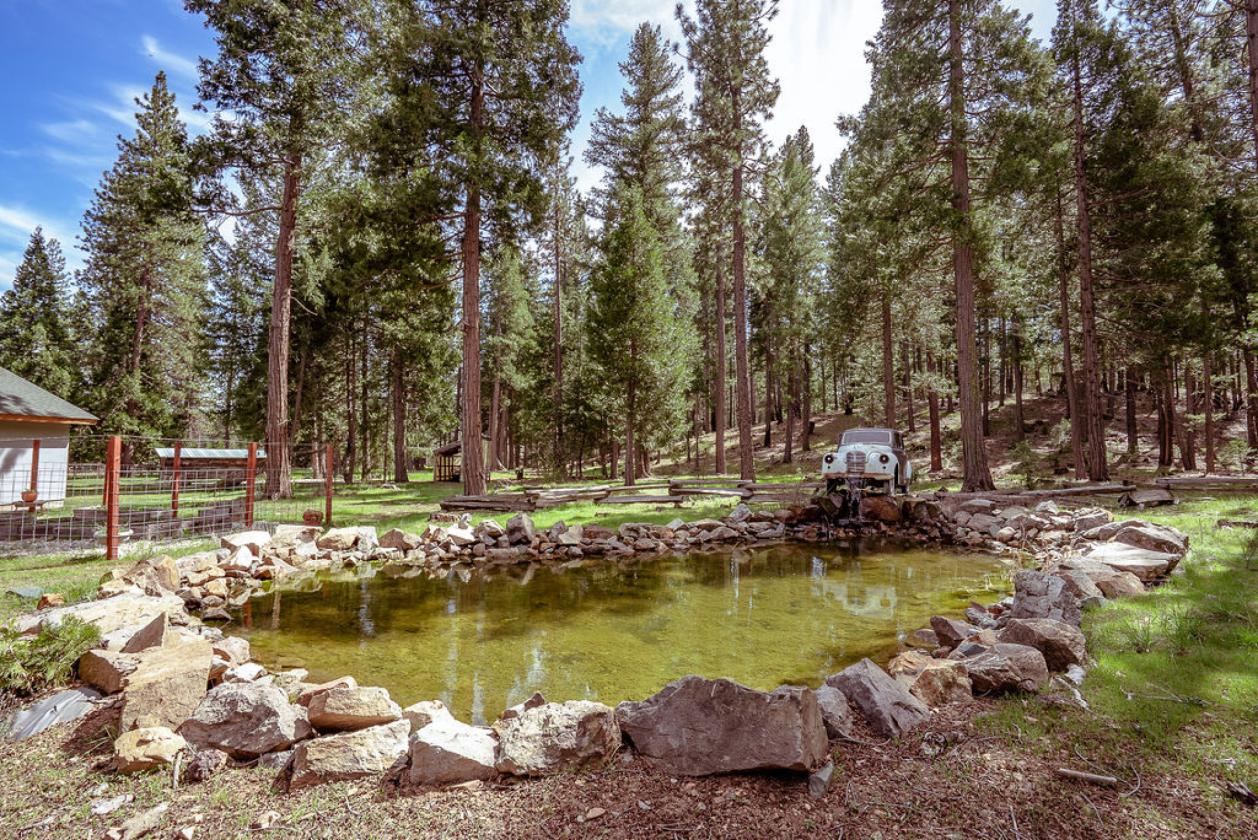 Horse Property with a Pond! - photo 30