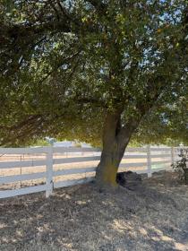 Property image.