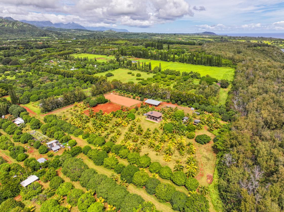 Agricultural & Equestrian Haven in Kauai - photo 23