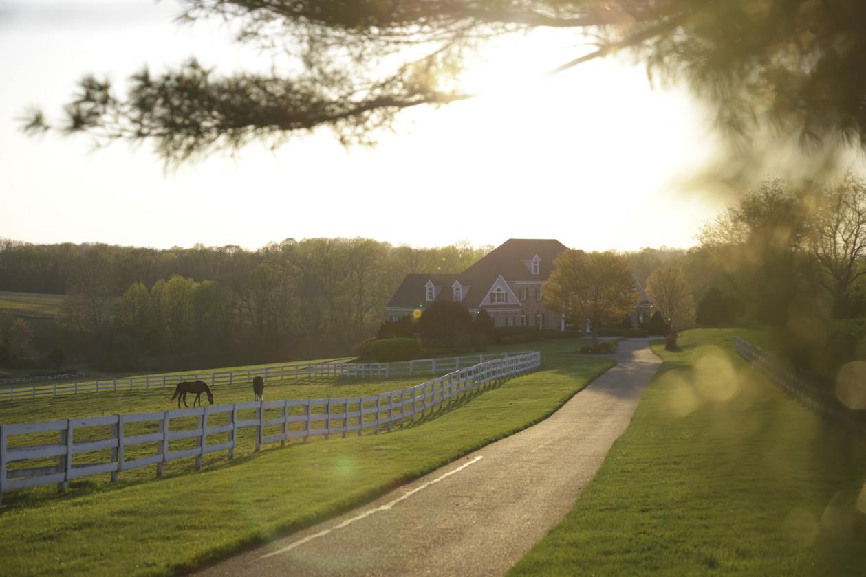 World-Class 115-Acre Luxury Farm Estate - photo 3